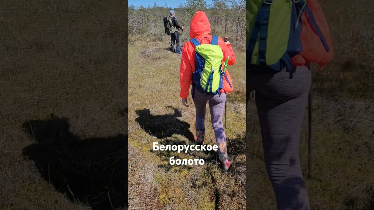 Козьянское болото. Ходим. Витебская область, РБ