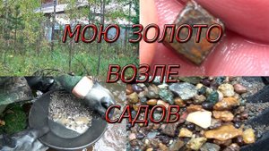 Нашёл золото возле сада!!! Вышел за забор и можно мыть!!!