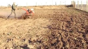 Боронование почвы  весной мотоблоком.