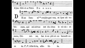 Deus Israel conjungat vos (Венчание), григорианский хорал, григорианский хор базилики Св. Екатерины