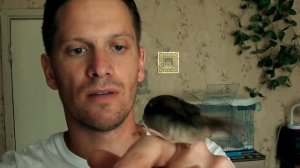 ЗНАКОМЬТЕСЬ, ЖИВЧИК!