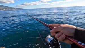 Морская Рыбалка на Черном Море, Ловля Саргана в Крыму