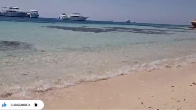 Paradise island ? Hurghada #travel #egypt #hurghada#Hurghada2022