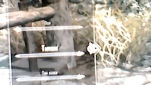 какую выбрать расу в скайриме