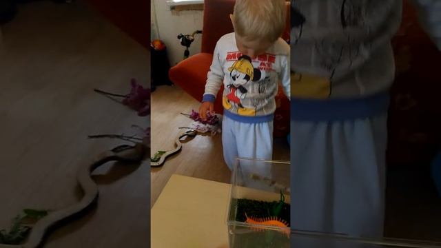 Даня TV - Террариум для насекомых смотреть онлайн