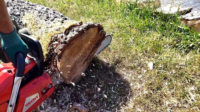 HECHT 962 piła objawy brak mocy diagnostyka usterka? смотреть онлайн