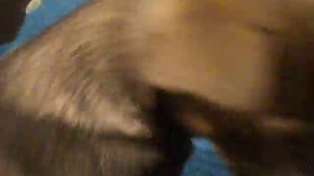 Щенуля смотреть онлайн