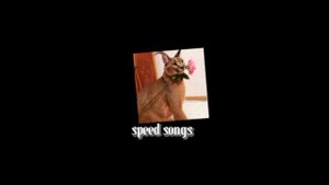 speed songs:"Нервы"-я не хочу без тебя спать