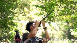 Laowa 24mm f14 макросъемка на макрообъектив (rus)