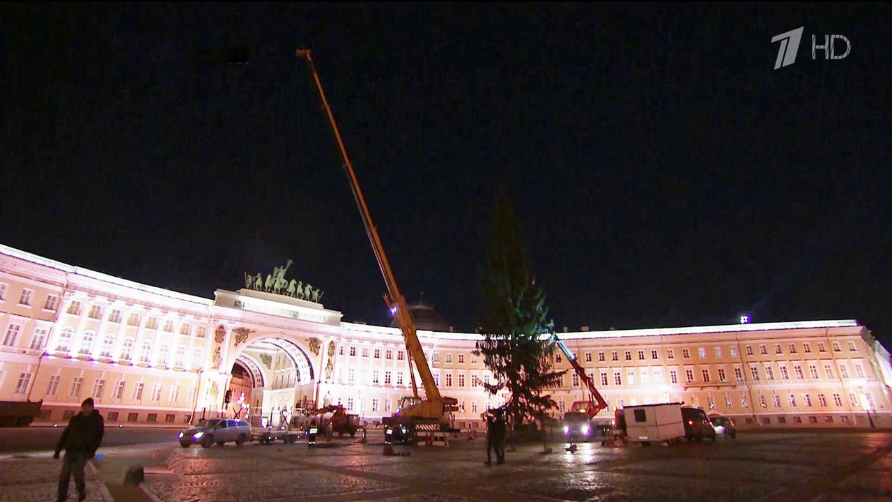 На Дворцовой площади в Санкт-Петербурге установили главную городскую новогоднюю ель