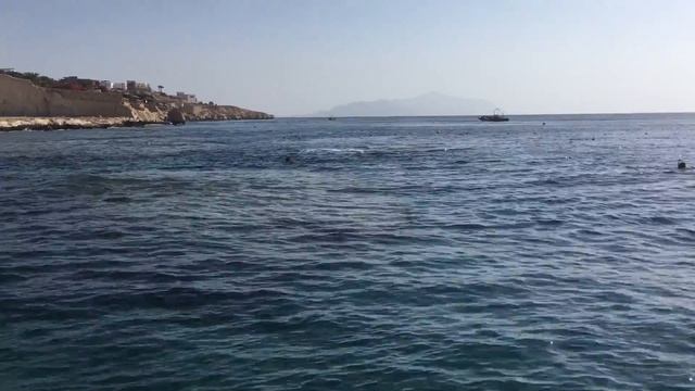 Egypt. Sharks bay. Red sea. Бухта Шаркс бей. Шарм эль Шейх смотреть онлайн