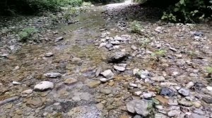 ?История образования Краснодарского края. Часть 2. ?