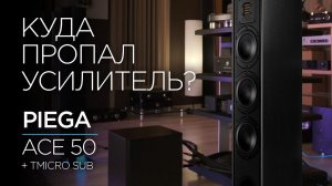 Швейцарская акустика Piega Ace 50 и её железные друзья