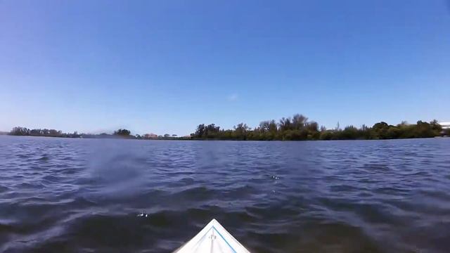 Sunday afternoon Robinson Preserve 5-7-17 смотреть онлайн