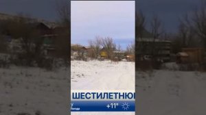 Собаки разорвали девочку!!жесть