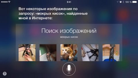 Siri на русском. Первая встреча...