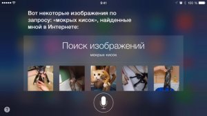 Siri на русском. Первая встреча...