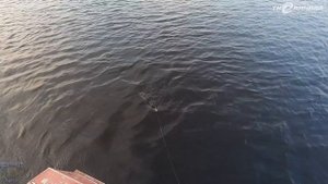 РЫБАЛКА НА ПРОДОЛЬНИКИ \ ВЕЧЕРНЯЯ ПРОВЕРКА \ 19.05.23