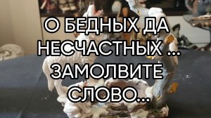 О БЕДНЫХ ДА НЕСЧАСТНЫХ ЗАМОЛВИТЕ СЛОВО...эфир от 4 июн. 2018 г.