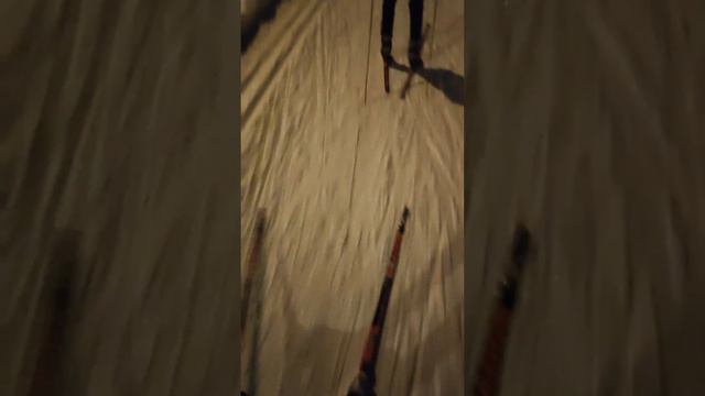 Сравнение лыж Brados (красные) world cup skate plus air carbon смотреть онлайн