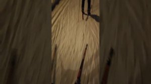 Сравнение лыж Brados (красные) world cup skate plus air carbon