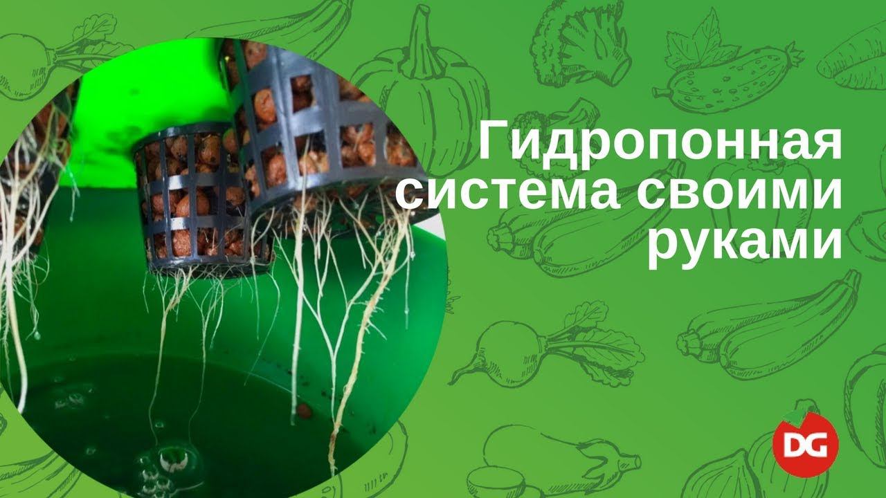 6 Как сделать гидропонную систему своими руками