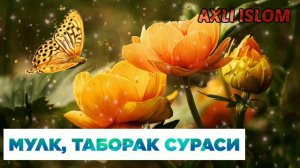 УЙИНГИЗГА БАРАКА ФАЙЗ ЧАКИРУВЧИ ТАБОРАК (МУЛК) СУРАСИ