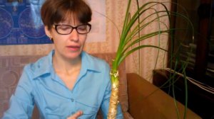 Нолина после пересадки