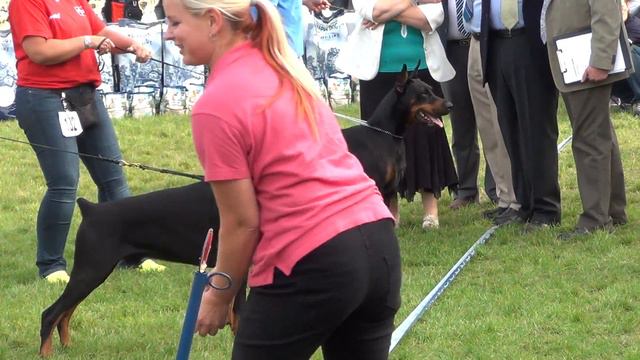 Working Class Black Males FINAL смотреть онлайн