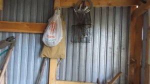 Как построить курятник ( зимний!) на 10 кур с min затратами. День первый.