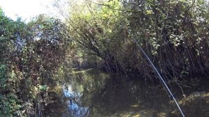 Pesca al cavedano con Duo Yurapen / FIshing for chubs in Italy with Duo Tetra Works Yurapen