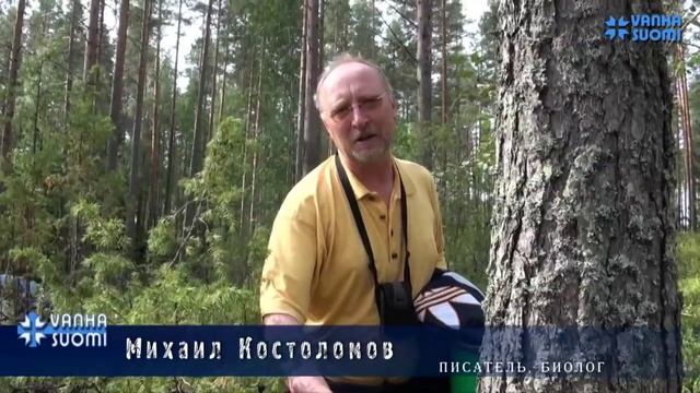 Необычные грибы. Рогатик золотистый смотреть онлайн