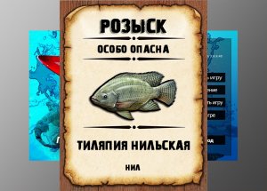 Мутанты рр3. Тиляпия нильская рр3. Нил.