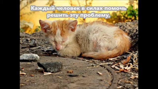 Каждый имеет право на дом смотреть онлайн