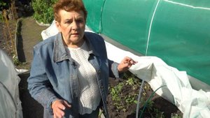 ЗАЩИТИТЕ РАСТЕНИЯ ОТ ВОЗВРАТНЫХ ЗАМОРОЗКОВ.  ПРОСТОЙ СПОСОБ