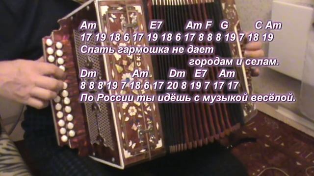 Спать гармошка не дает (гармонь) смотреть онлайн