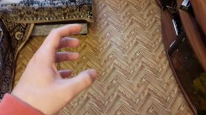 Сколько я заработал на разоблачении канала "ВАСЯ НА СЕНЕ"