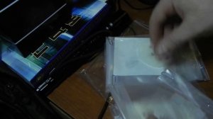 Выращивание роз из семечек семян часть 3