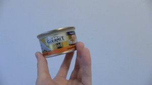 У меня появился КОТЕНОК! Что подготовить к появлению кошечки дома?:)