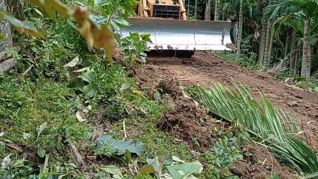 Road Construction Work Project in Areca Tree Farms смотреть онлайн