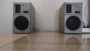 Сонет 25АС-202, акустика