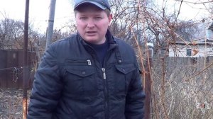 Обрезка технических сортов винограда