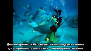 ZF2AH Остров Большой Кайман. С сайта dxnews.com