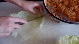 Как завернуть домашние голубцы 3 способа