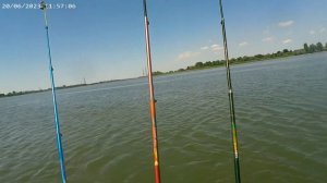 Рыбалка на Дону / Июнь 23