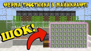 КАК СДЕЛАТЬ ФЕРМУ ТРОСТНИКА В МАЙНКРАФТ! АВТОМАТИЧЕСКАЯ ФЕРМА! МЕХАНИЗМЫ!