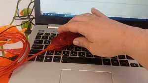 renolink 1.99 не работает