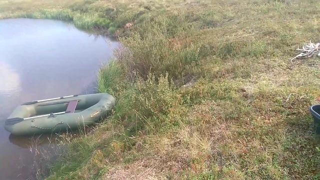 Как правильно разжечь огонь?и сварить чай☕? смотреть онлайн