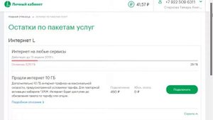Как посмотреть баланс на Мегафон модем
