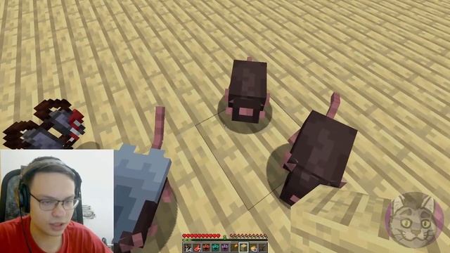 ZEURK ПОВЕЛИТЕЛЬ КРЫС! Обзор мода Rat's Mischief! смотреть онлайн